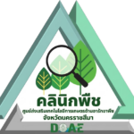 สัญลักษณ์หรือโลโก้-Logo-คลินิกพืช-พื้นหลังโปร่งใส