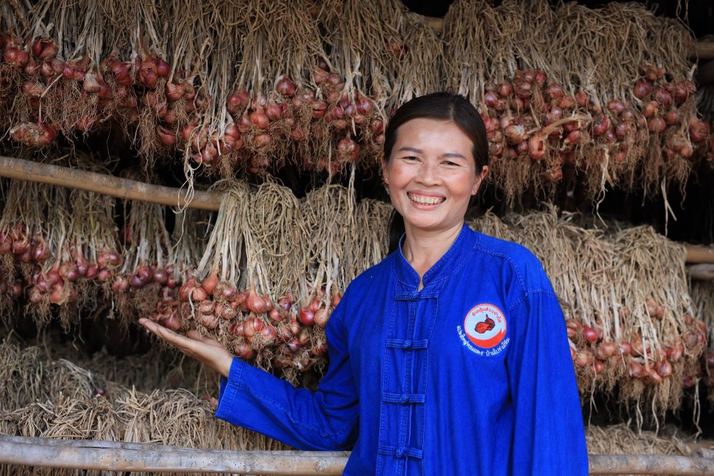 484789391_4058903454394874_2492728984838743362_n