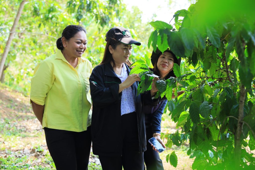 484956870_4059710467647506_6446188179163182234_n